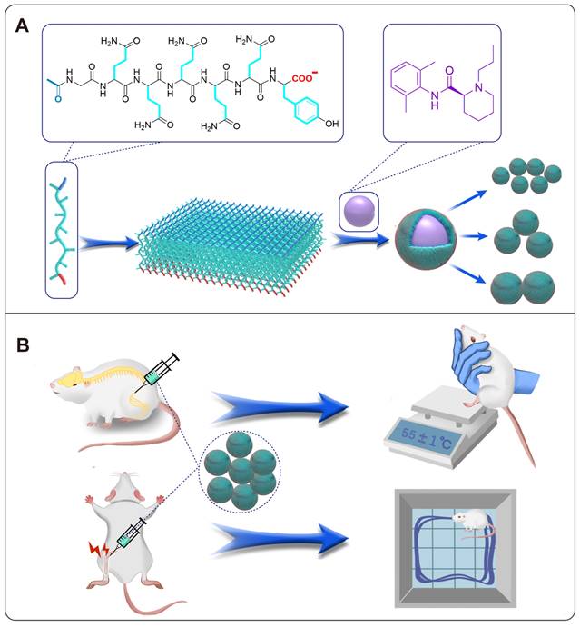 Theranostics Image