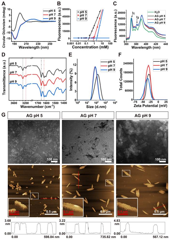 Theranostics Image