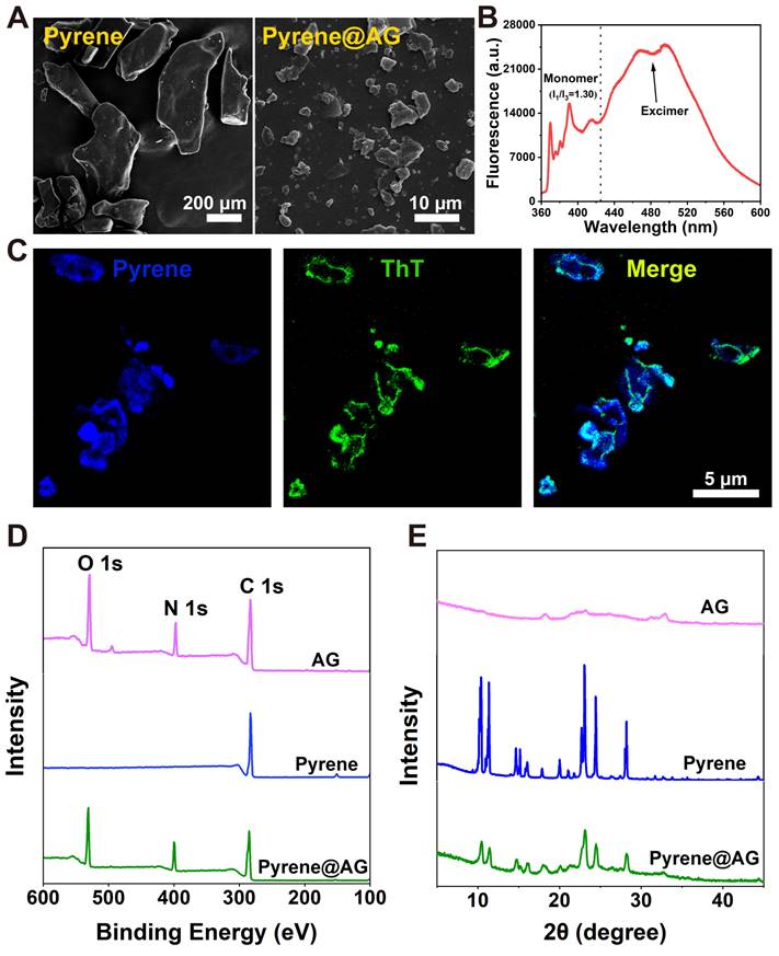 Theranostics Image