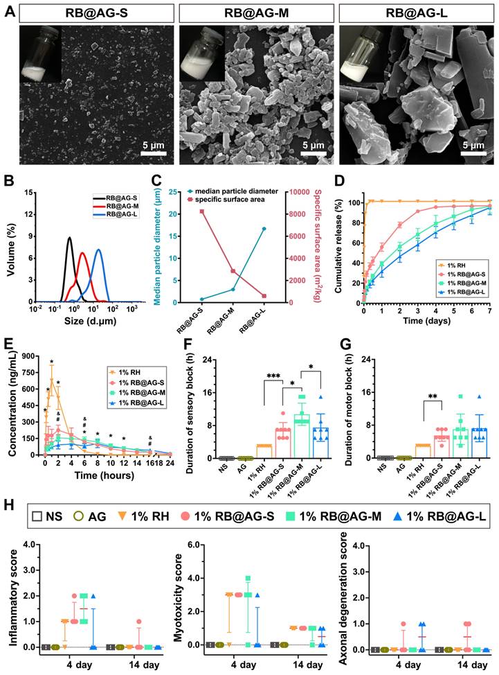 Theranostics Image