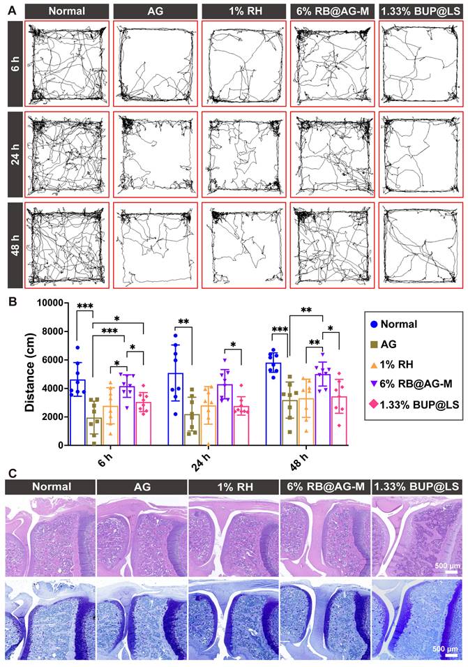 Theranostics Image