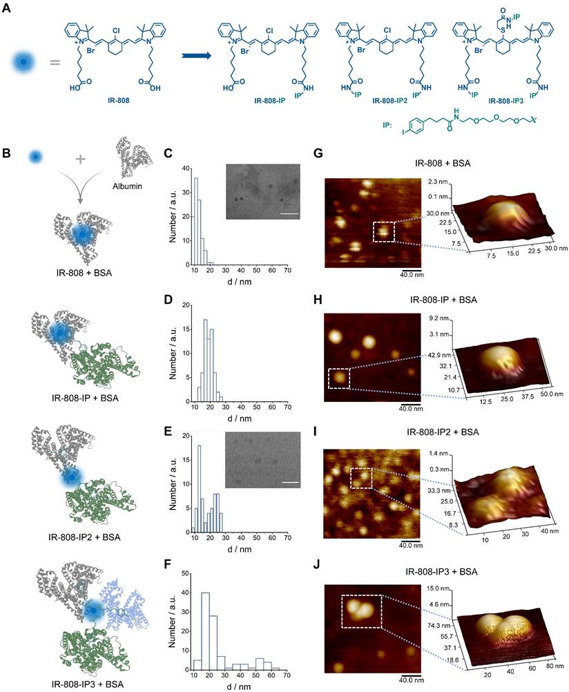 Theranostics Image