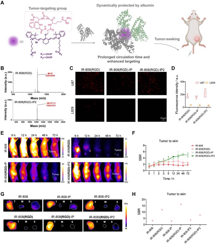 Theranostics Image