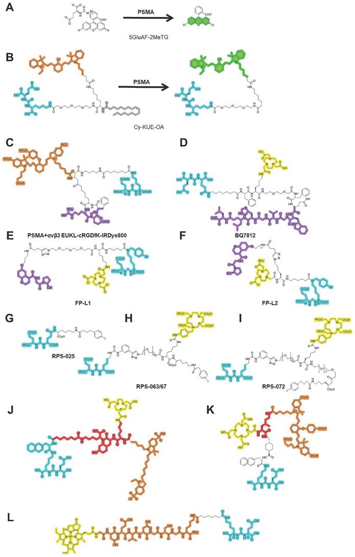 Theranostics Image