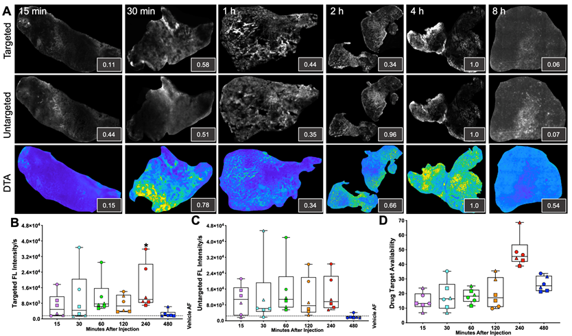 Theranostics Image