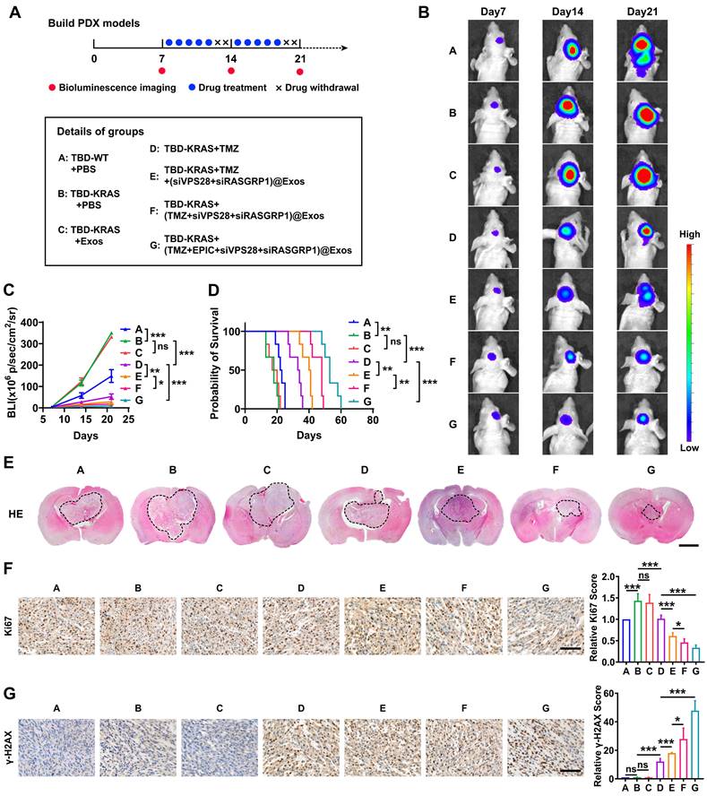 Theranostics Image