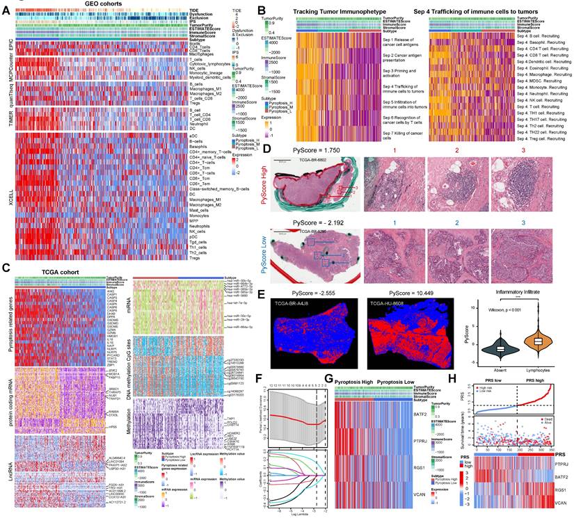 Theranostics Image