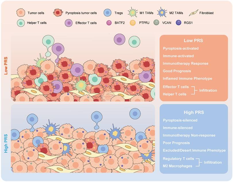 Theranostics Image