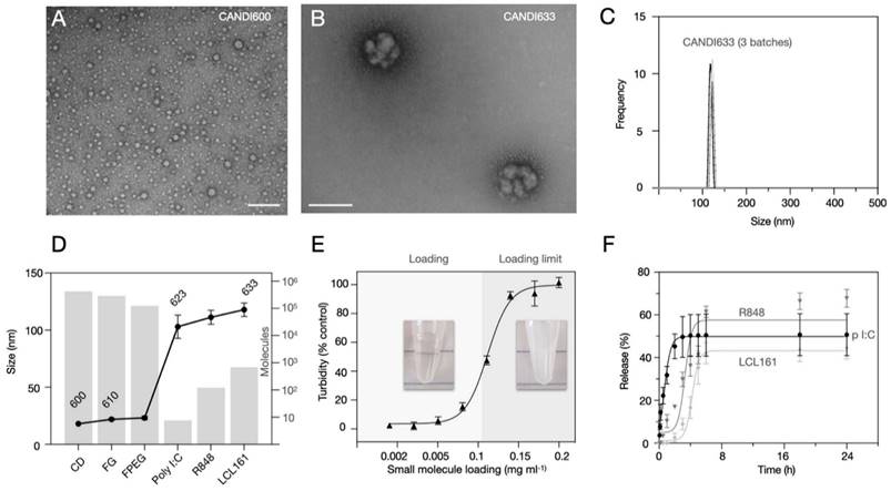 Theranostics Image