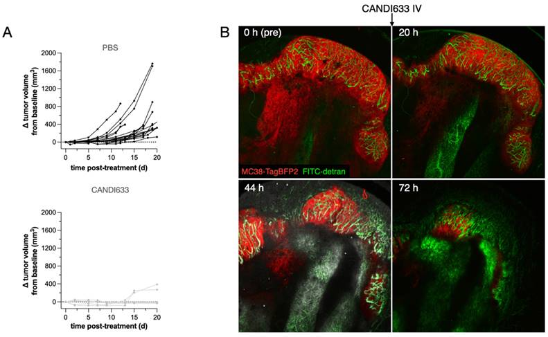 Theranostics Image