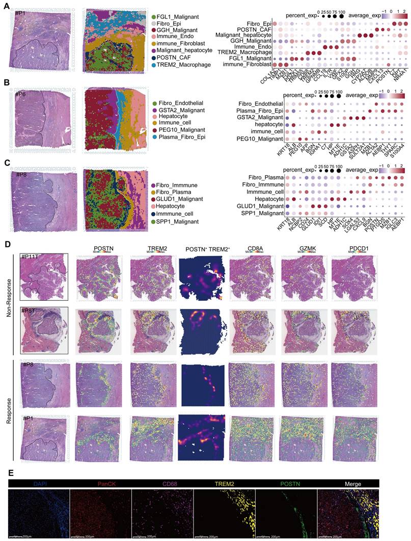 Theranostics Image