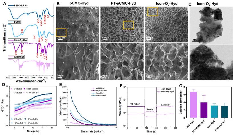 Theranostics Image