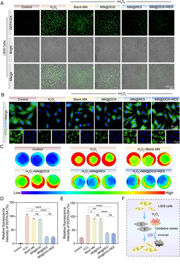 Theranostics Image