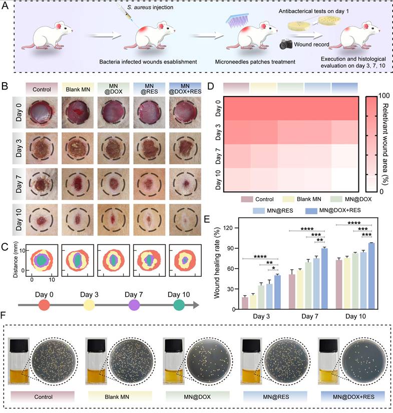 Theranostics Image