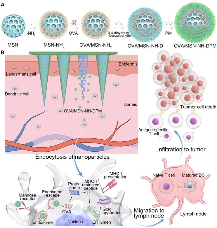 Theranostics Image