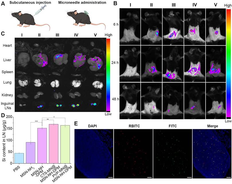 Theranostics Image