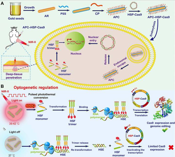 Theranostics Image