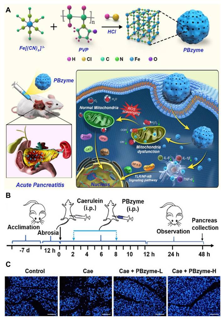 Theranostics Image