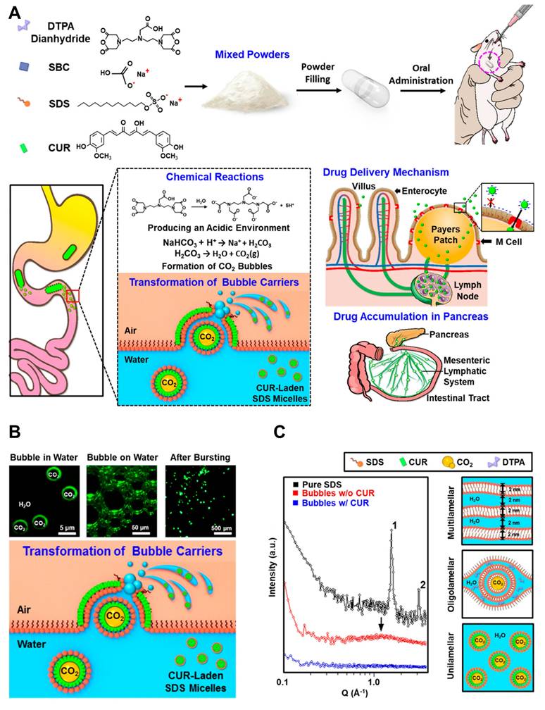 Theranostics Image
