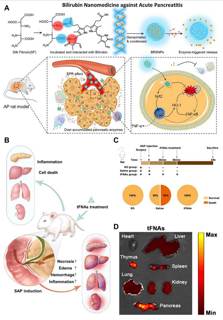 Theranostics Image