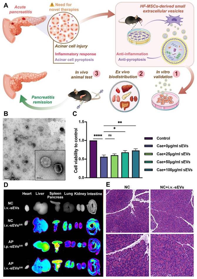 Theranostics Image