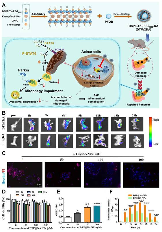 Theranostics Image