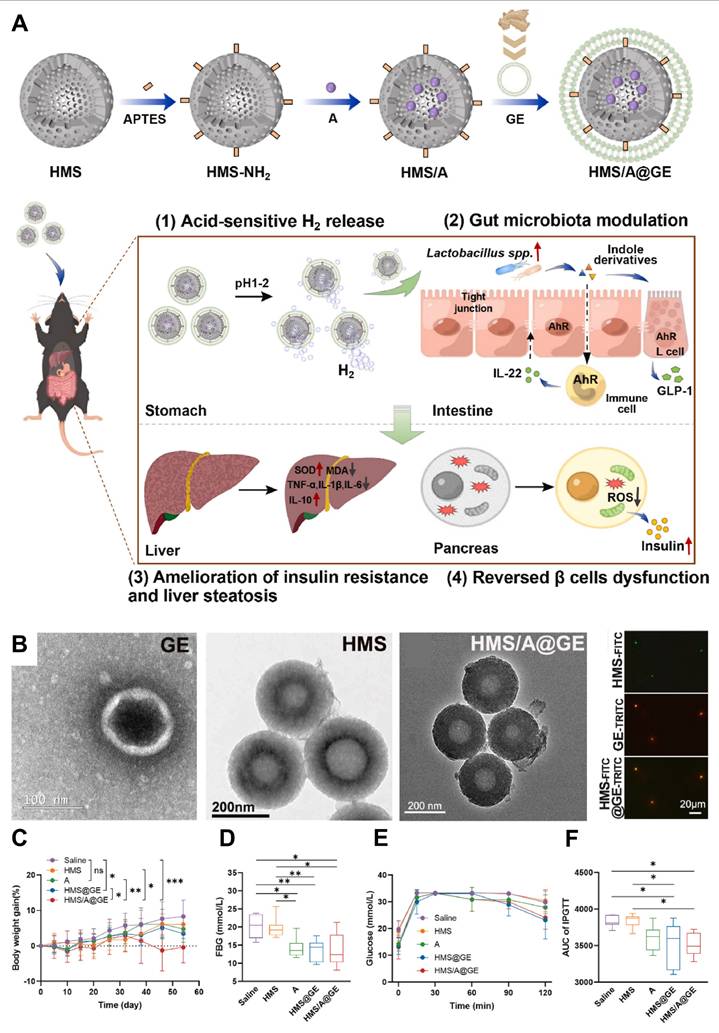 Theranostics Image