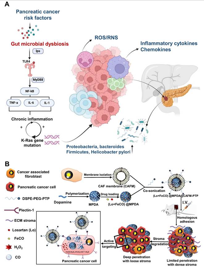 Theranostics Image