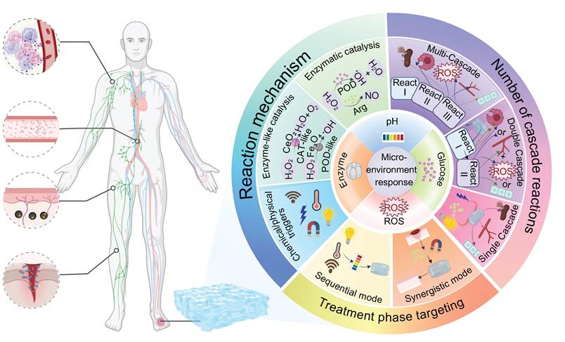 Theranostics Image