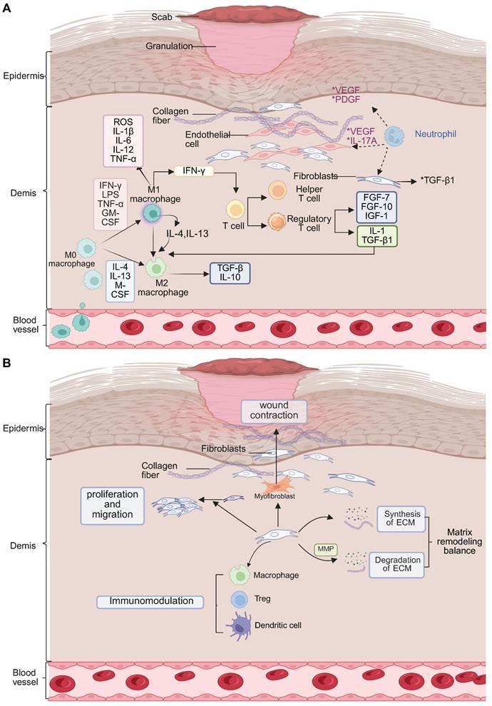 Theranostics Image