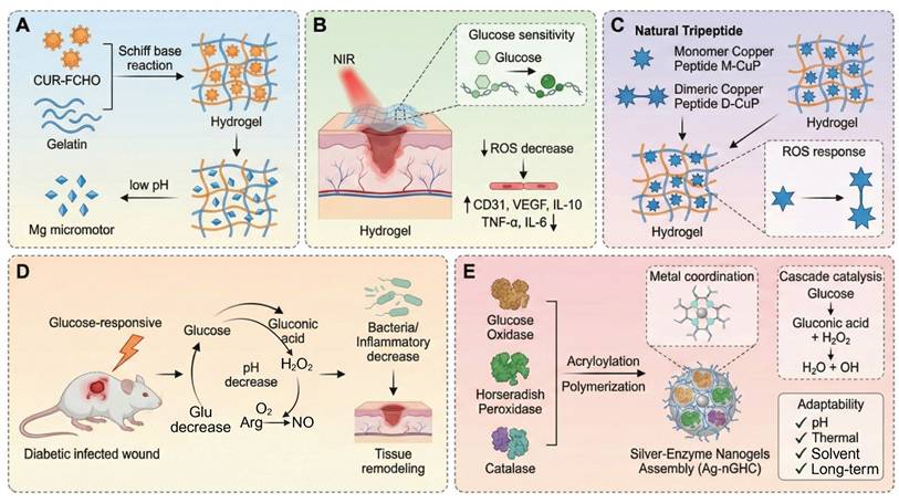 Theranostics Image