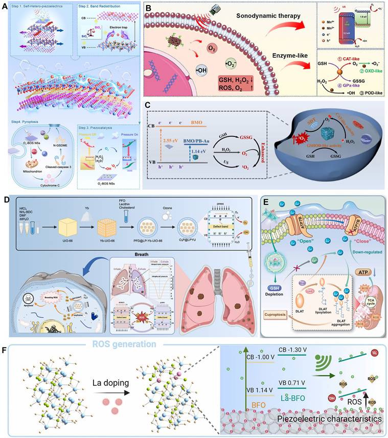 Theranostics Image