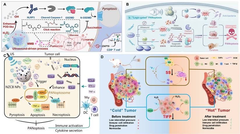 Theranostics Image