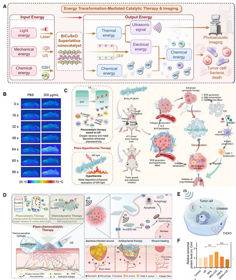 Theranostics Image