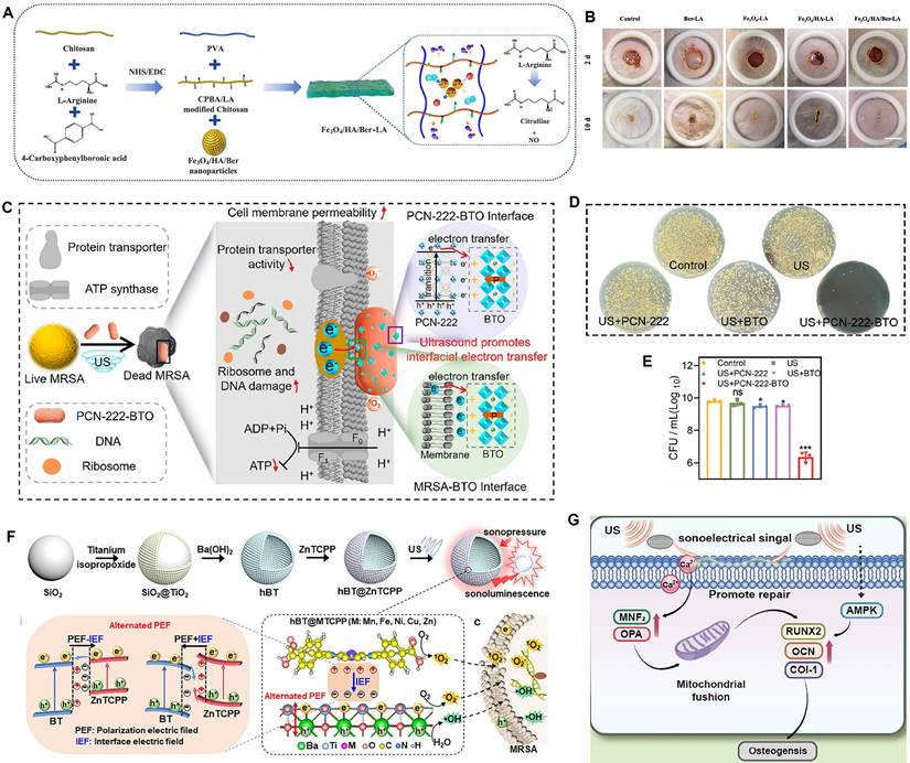 Theranostics Image