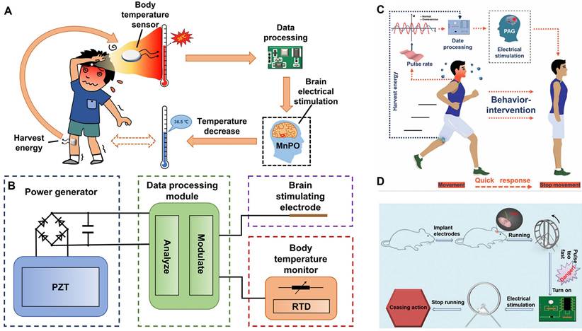 Theranostics Image
