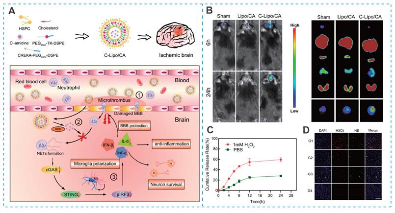 Theranostics Image