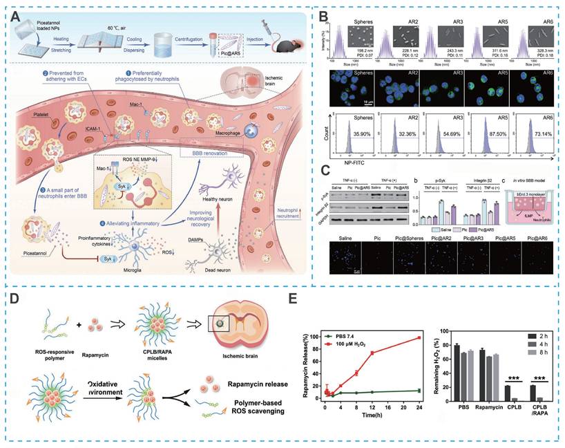 Theranostics Image