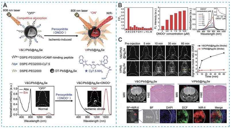 Theranostics Image