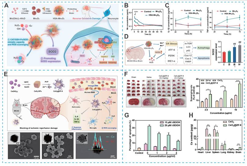 Theranostics Image