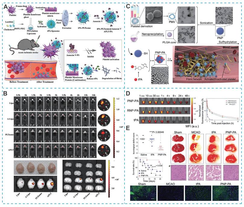 Theranostics Image