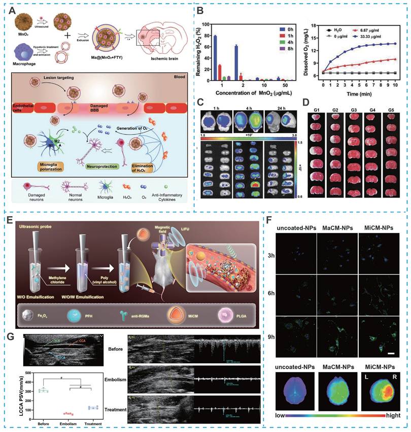 Theranostics Image