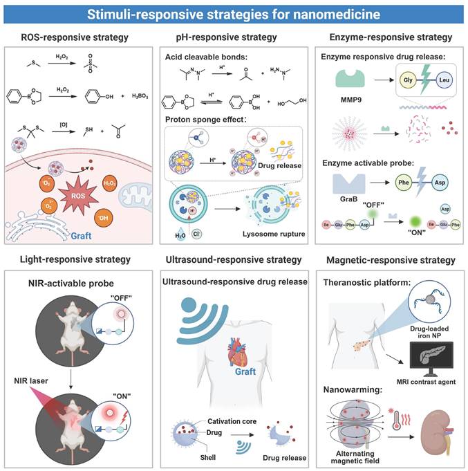 Theranostics Image