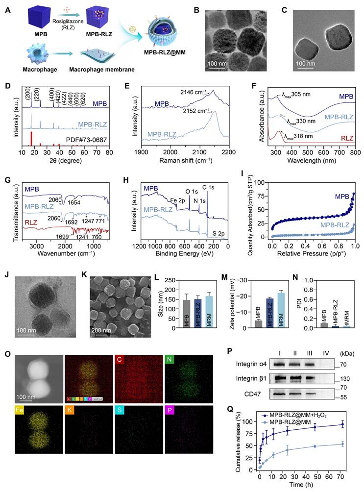 Theranostics Image