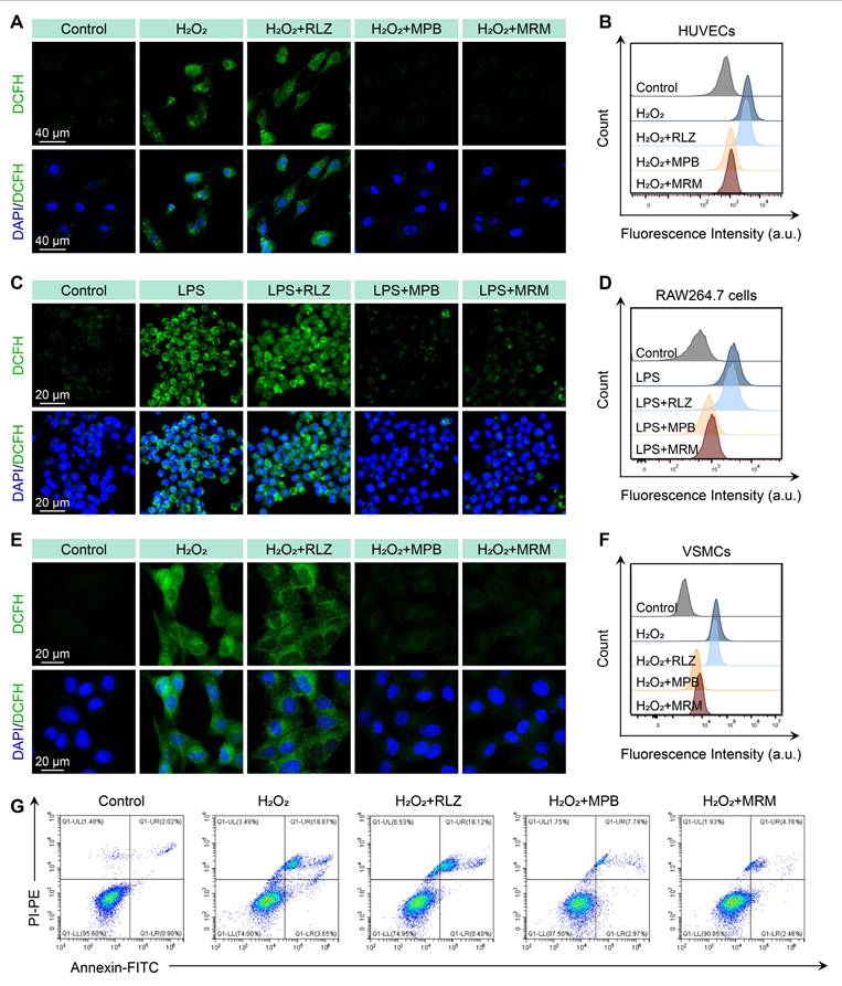 Theranostics Image
