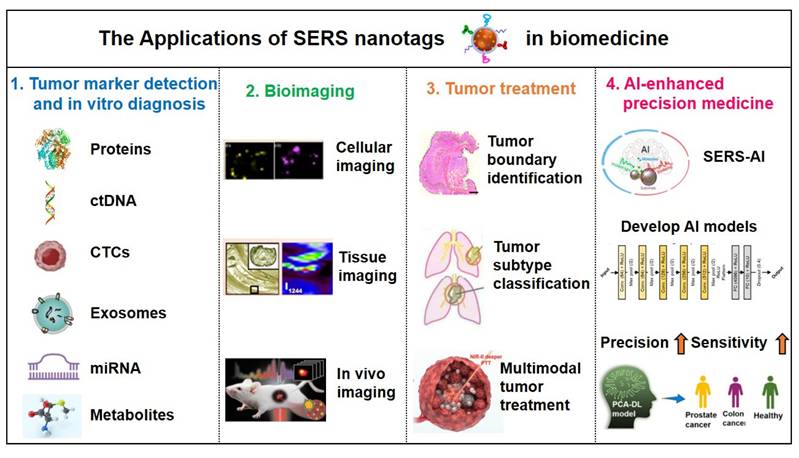 Theranostics Image