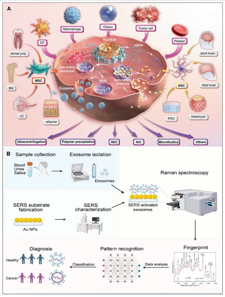 Theranostics Image