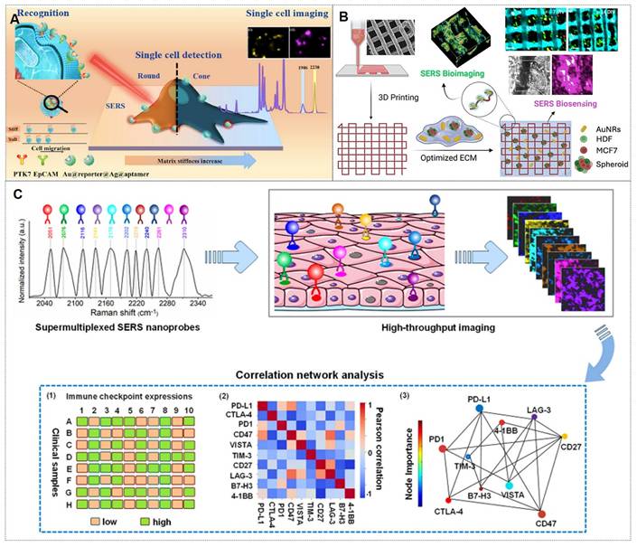 Theranostics Image