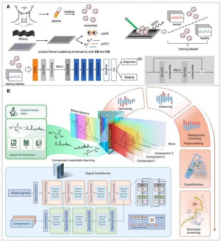 Theranostics Image