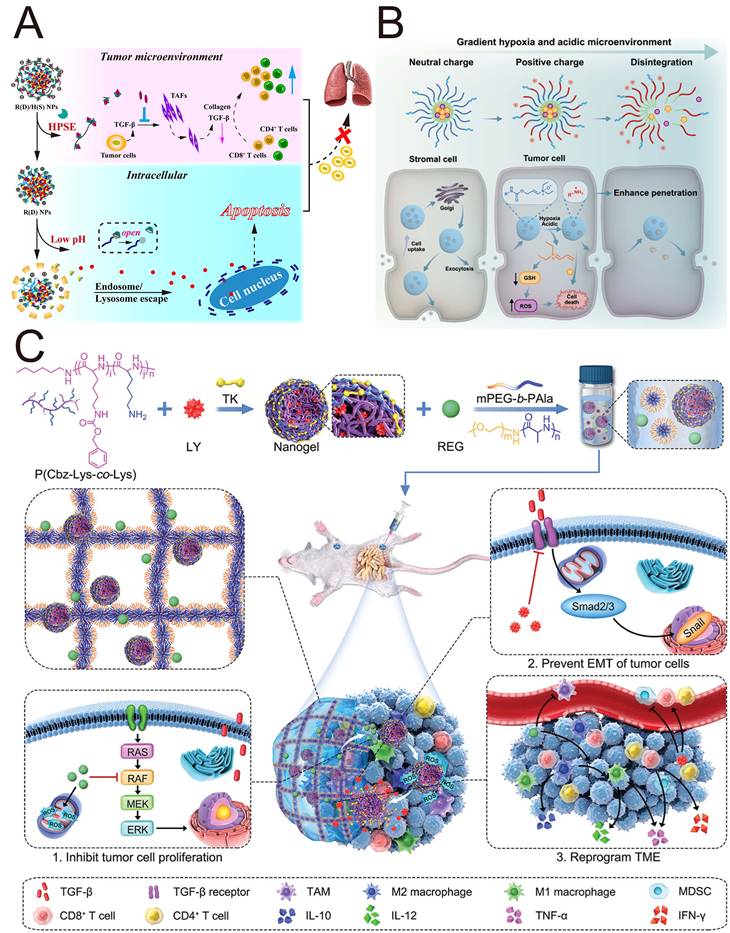 Theranostics Image